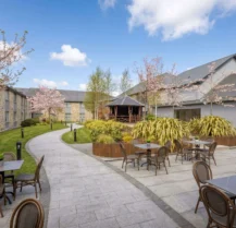 A charming hotel courtyard with cherry blossoms and outdoor seating on a sunny day.