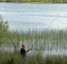 A man peacefully fishes by a tranquil lakeside surrounded by lush greenery near Hotel Kilmore.