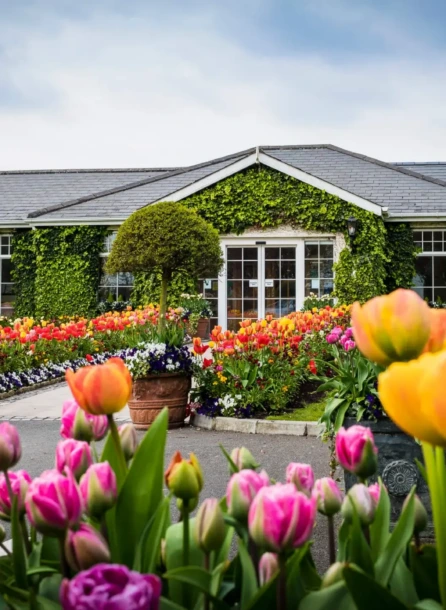 Family enjoying gardens at Hotel Kilmore, surrounded by vibrant tulips and greenery.
